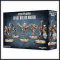 Games Workshop   53-16 Space Wolves Wulfen 